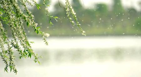 怎样表达思念？这是我听过的最好的答案