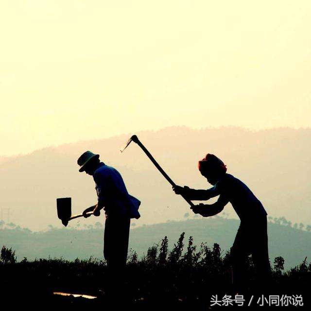 人勤地不懒是大实话,为啥人越懒就越懒