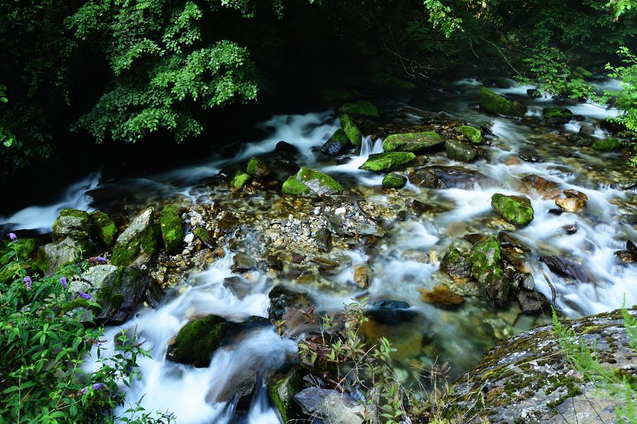 去神农架景区,神农架一日游景点攻略
