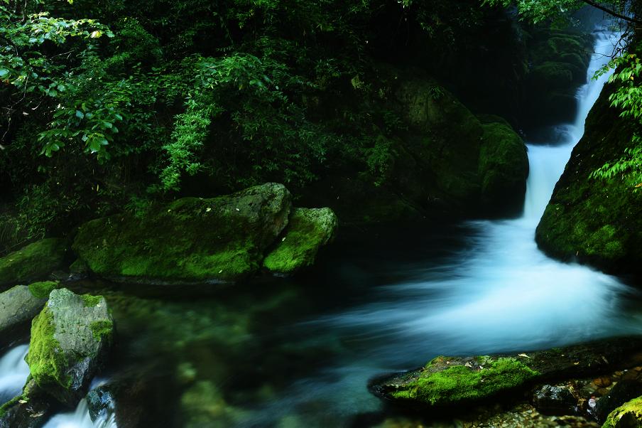 去神农架景区,神农架一日游景点攻略