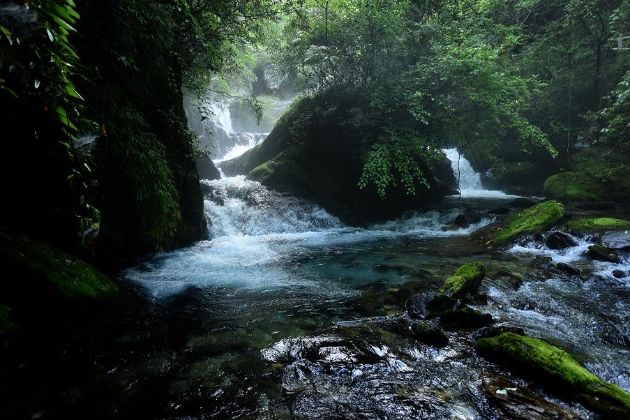 去神农架景区,神农架一日游景点攻略