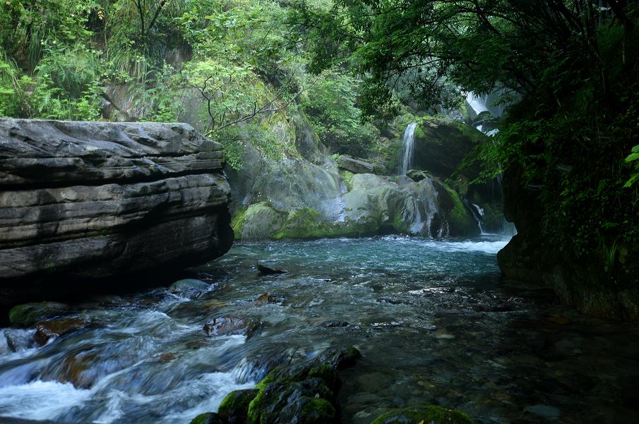 去神农架景区,神农架一日游景点攻略