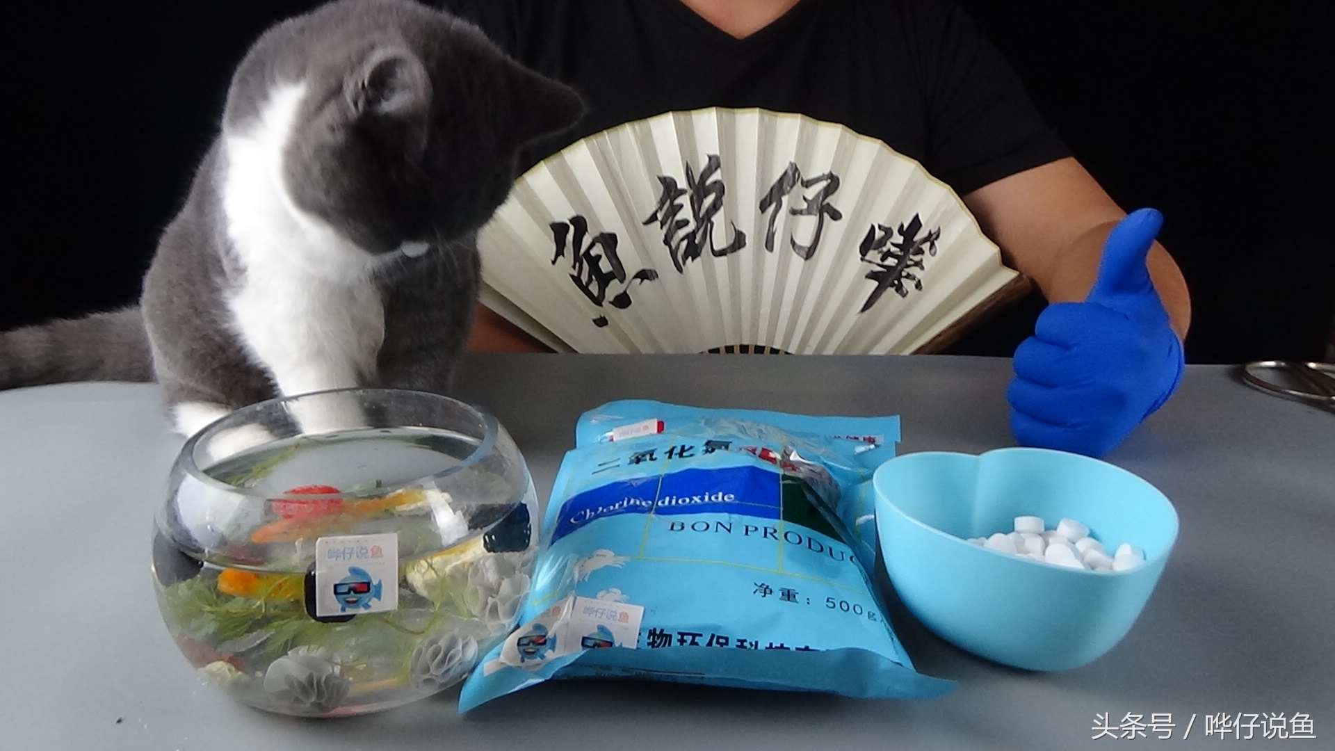 当你要给宠物鱼缸消毒的时候，你可曾想过，二氧化氯或许是个选择