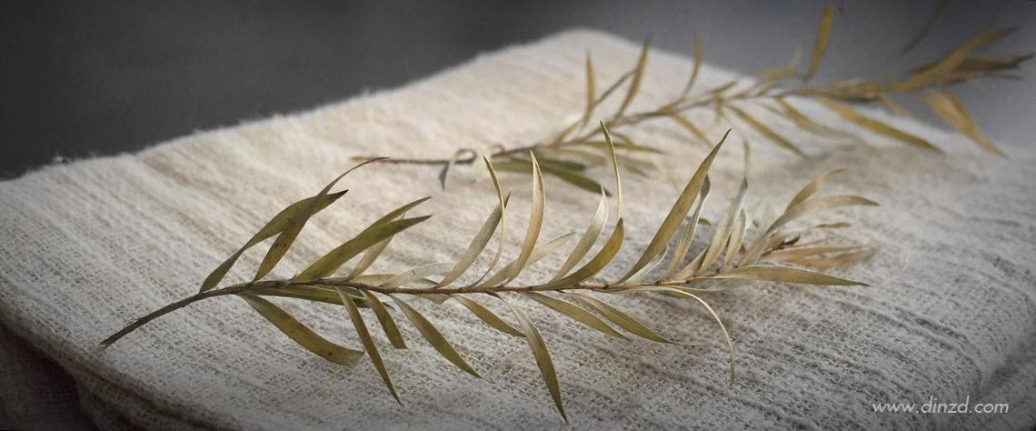 华润二十四城八期悦玺房价,华润二十四城悦玺到底几期