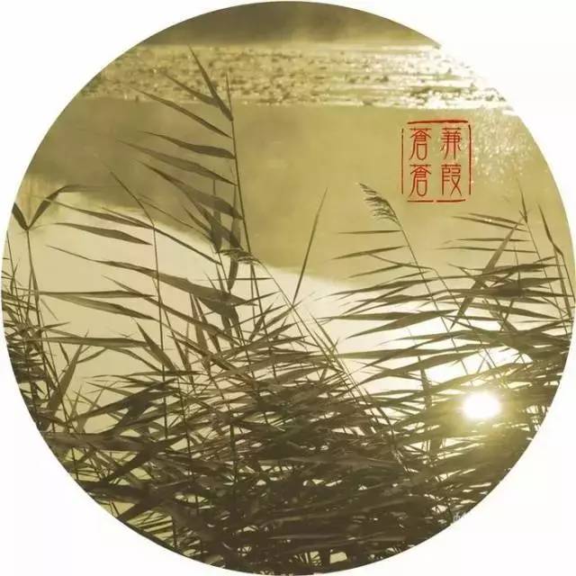 诗经中的国学经典语录,诗经中最唯美的句子加解析和感悟