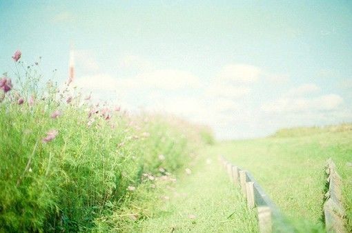 诗经中的国学经典语录,诗经中最唯美的句子加解析和感悟