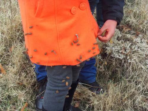 农村过敏性鼻炎特效药,民间治愈鼻炎药靠谱吗