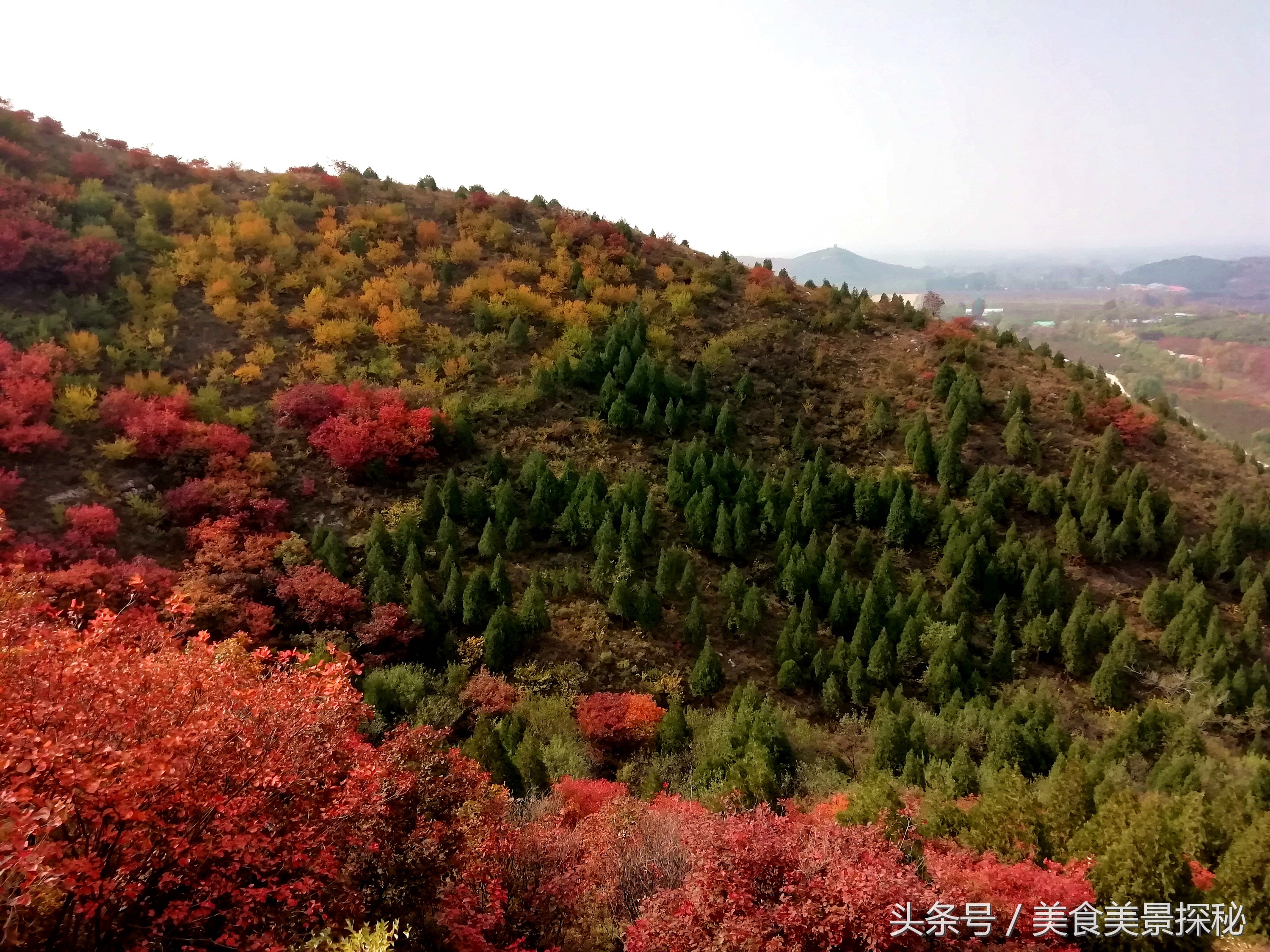 赏红叶何须去香山,赏红叶除了香山还能去哪