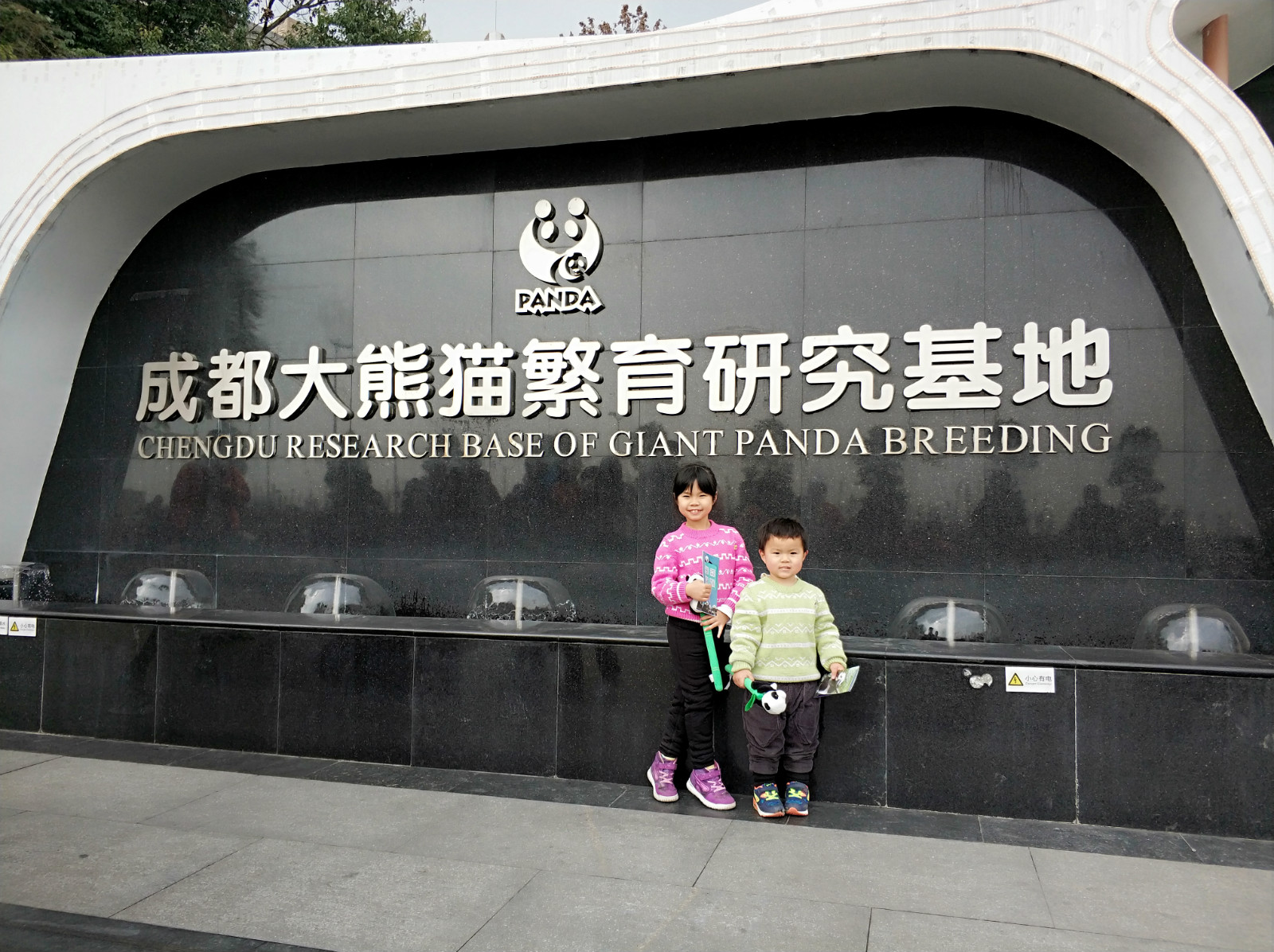 到广州长隆野生动物园看熊猫,看熊猫是去广州长隆还是四川成都