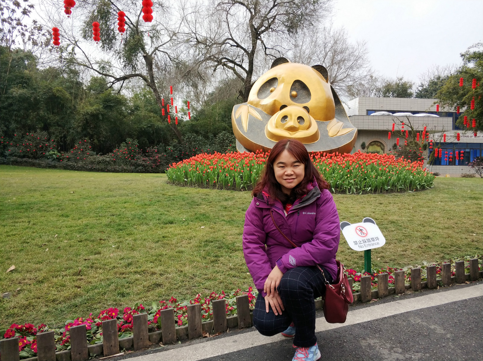 到广州长隆野生动物园看熊猫,看熊猫是去广州长隆还是四川成都