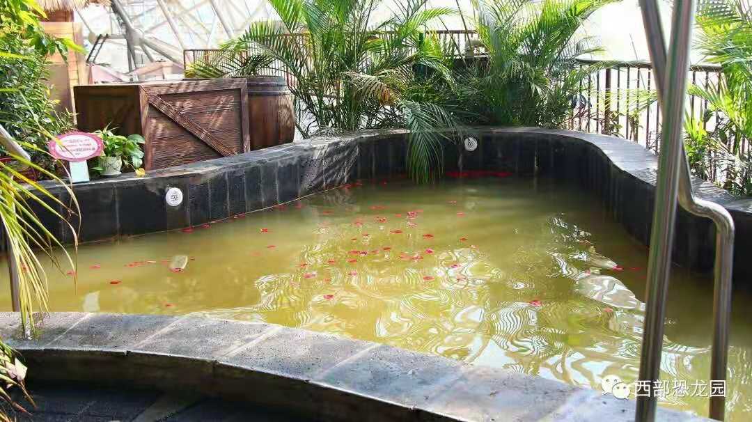 富硒温泉中国温泉,珍硒山泉水