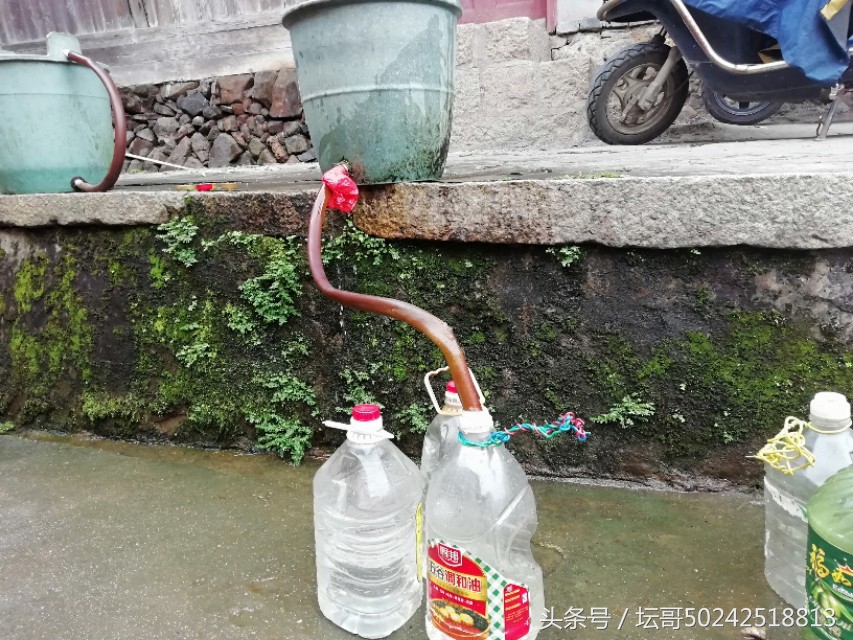 村里的一口古井,村口的一口古井