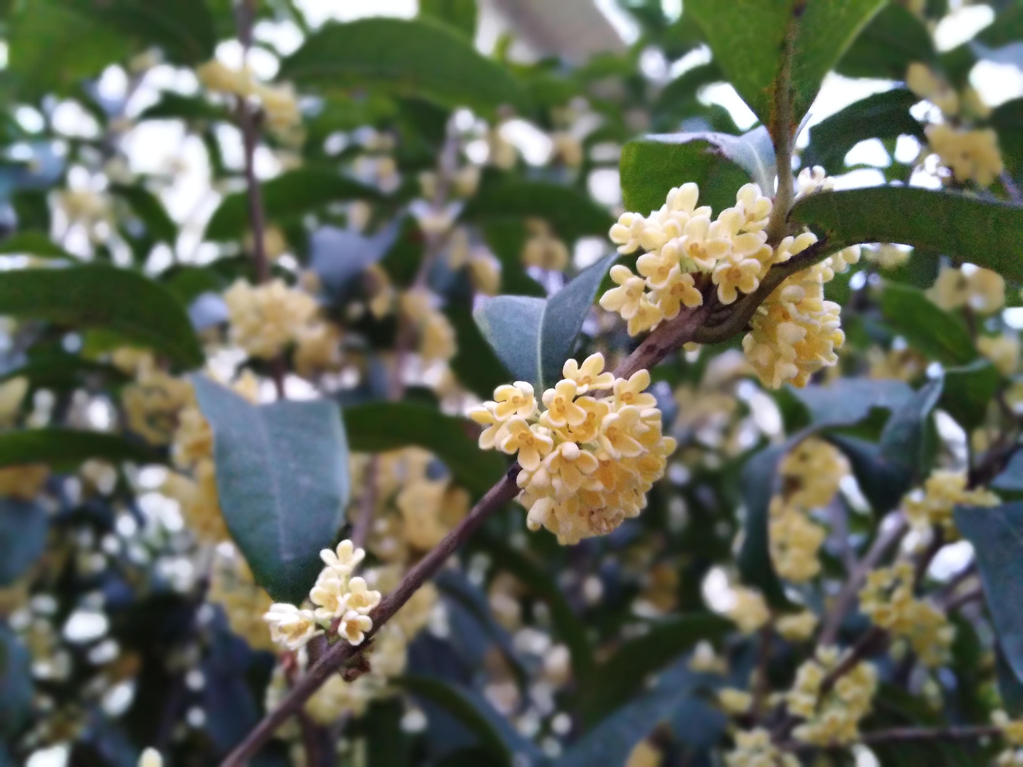 妻子的这4种行为令男人反感,中年男人对老婆失望表现