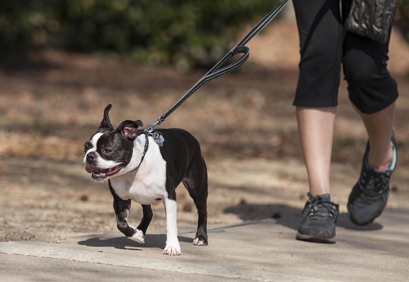 空调吹出来有一股尿骚味怎么处理,快速消除尿骚味的小妙招