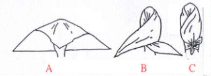 三角巾的包扎使用方法视频,风帽式三角巾包扎