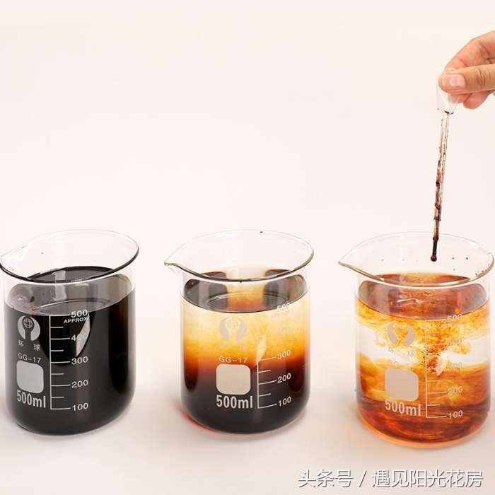 满天星养成“满天黄草”!盘点满天星黄叶枯萎的原因