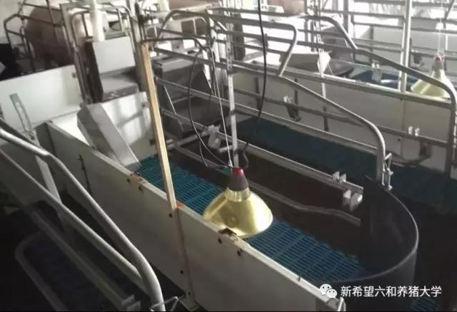 子宫各种炎症的表现,子宫炎症会有什么问题