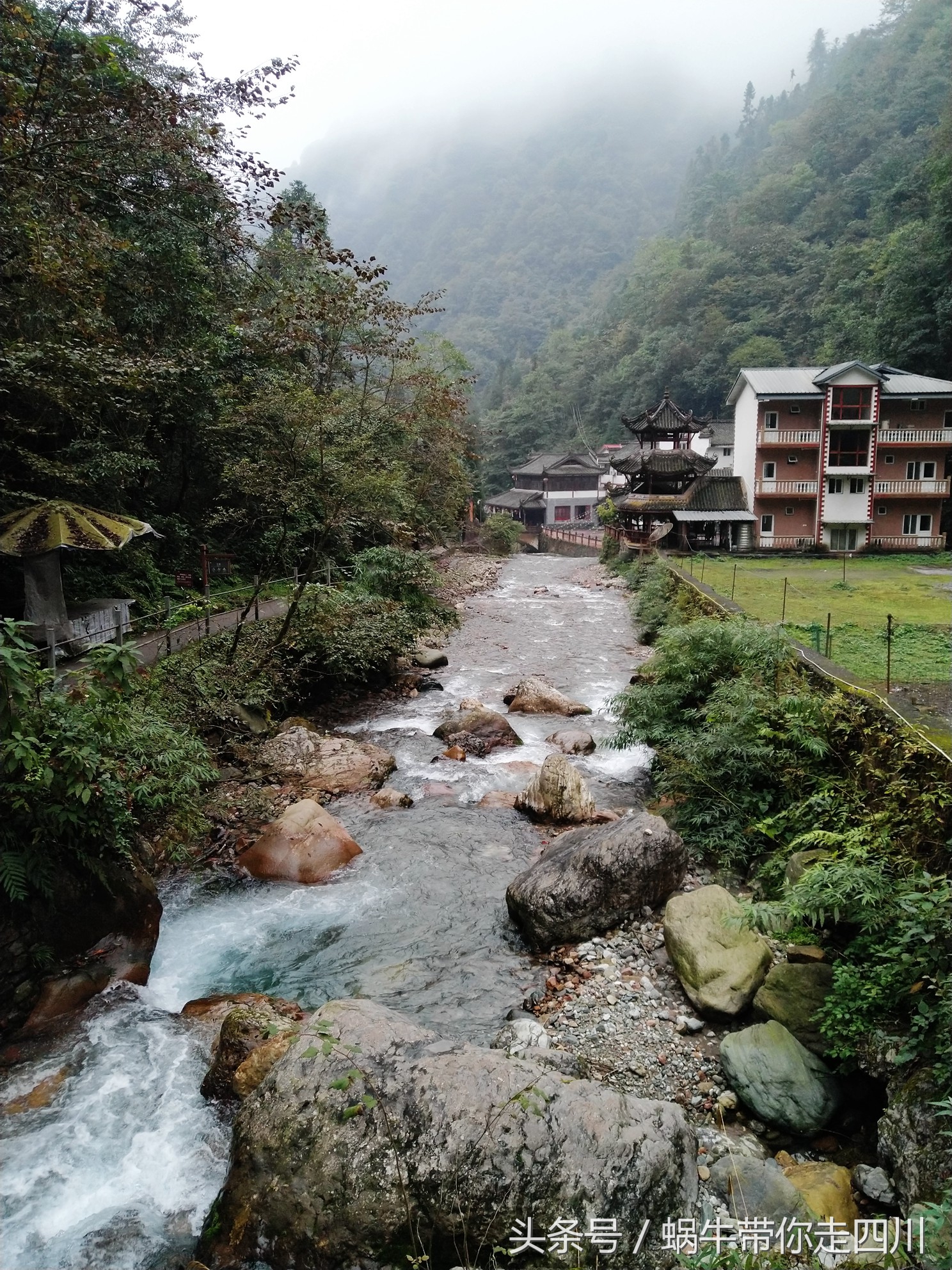 成都西岭雪山玩一天大概多少钱,成都西岭雪山旅游一日游报团
