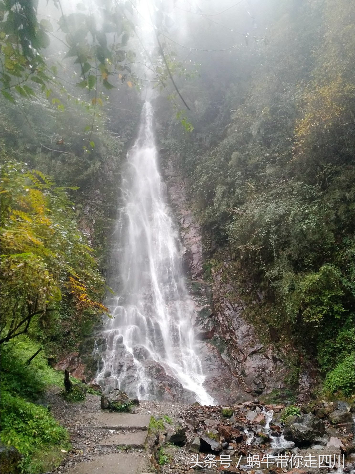 成都西岭雪山玩一天大概多少钱,成都西岭雪山旅游一日游报团