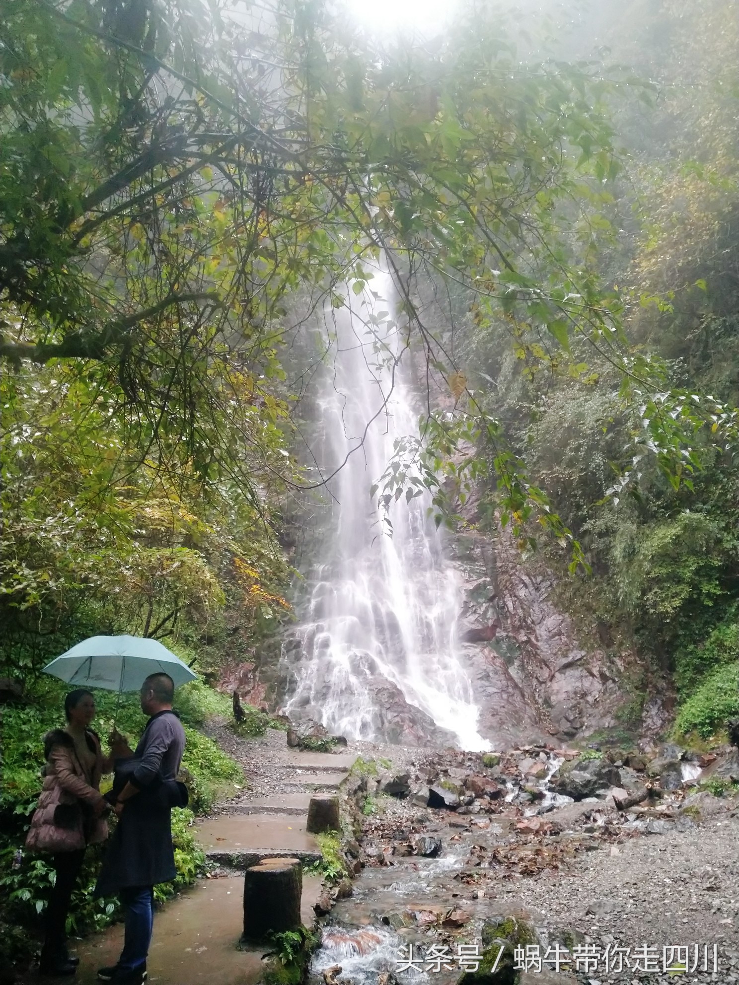 成都西岭雪山玩一天大概多少钱,成都西岭雪山旅游一日游报团