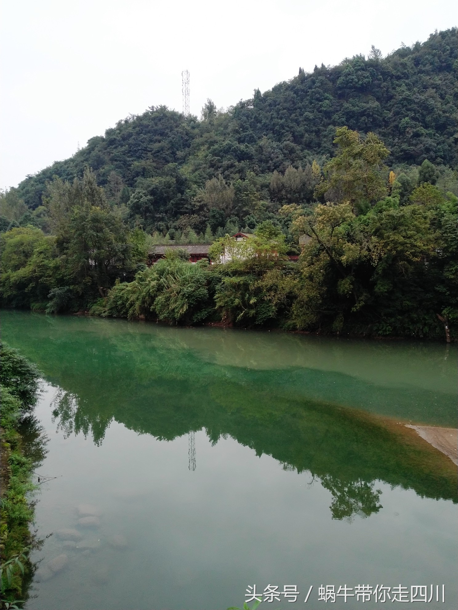 成都西岭雪山玩一天大概多少钱,成都西岭雪山旅游一日游报团