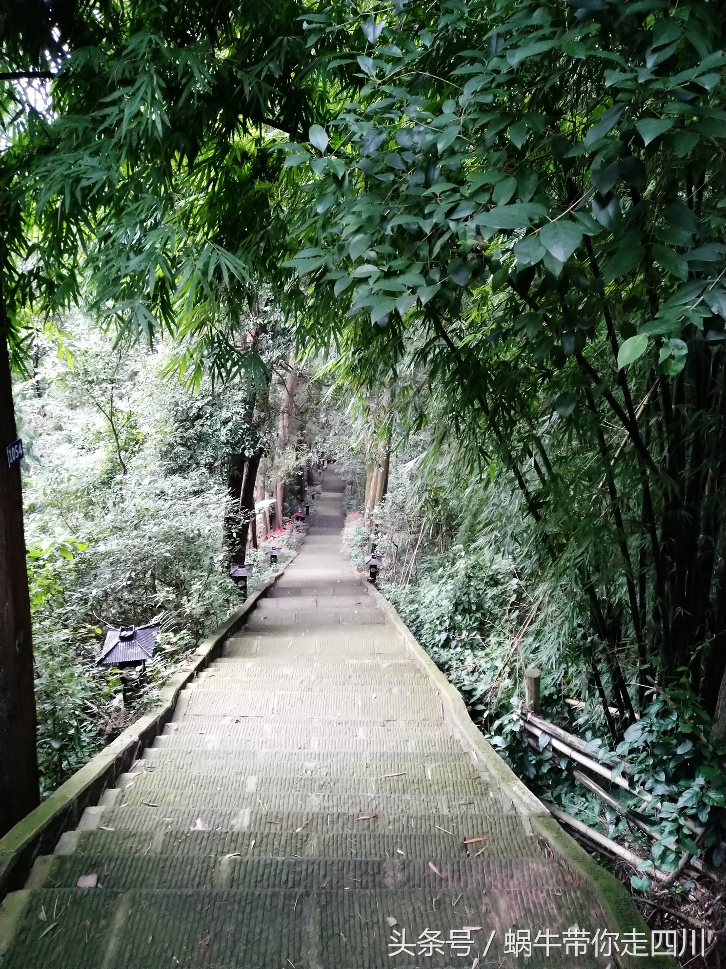 成都西岭雪山玩一天大概多少钱,成都西岭雪山旅游一日游报团