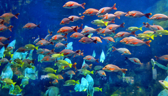 中国旅游前必看攻略,旅游攻略看完这篇文章轻松搞定