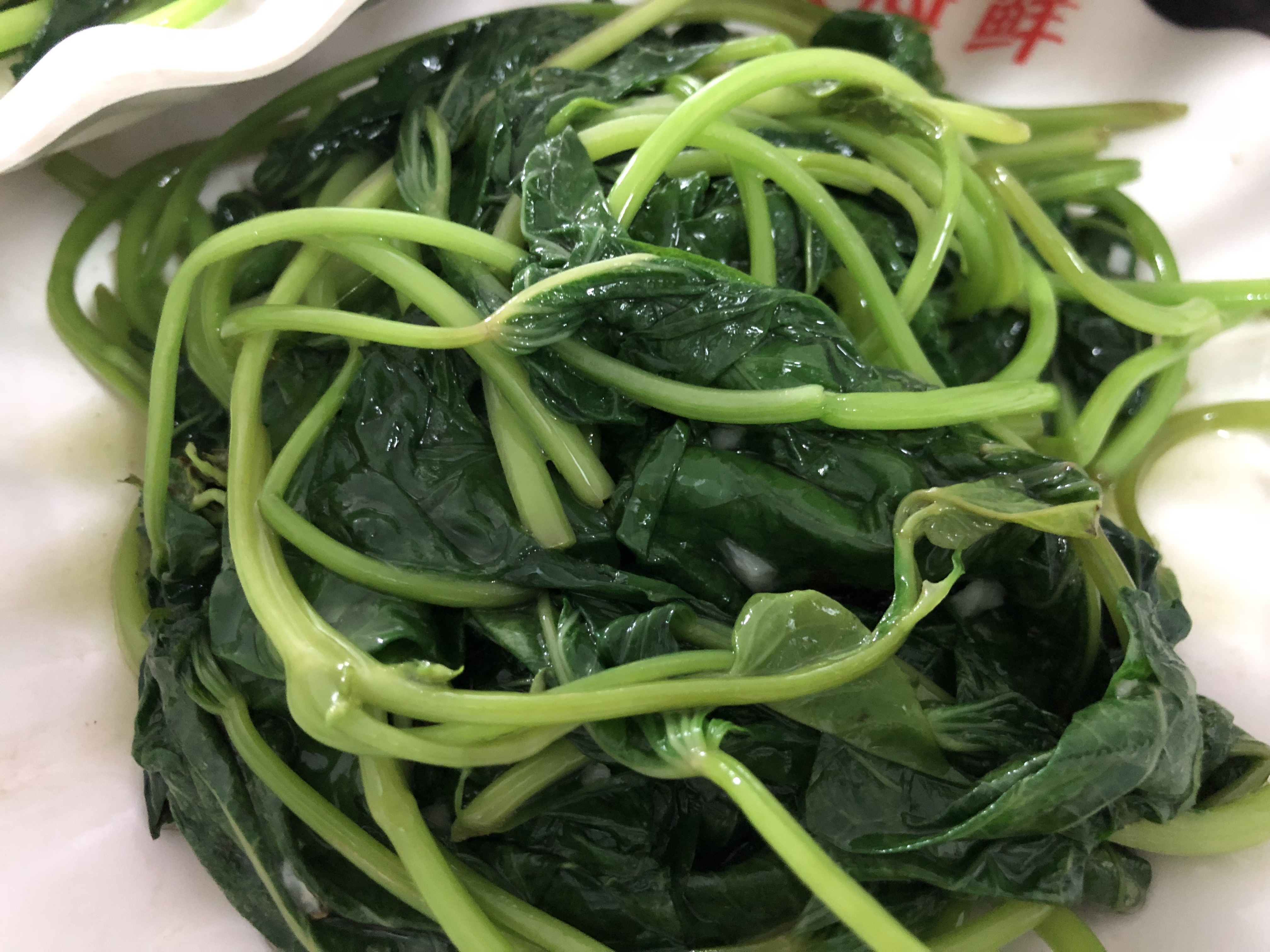 中国旅游前必看攻略,旅游攻略看完这篇文章轻松搞定