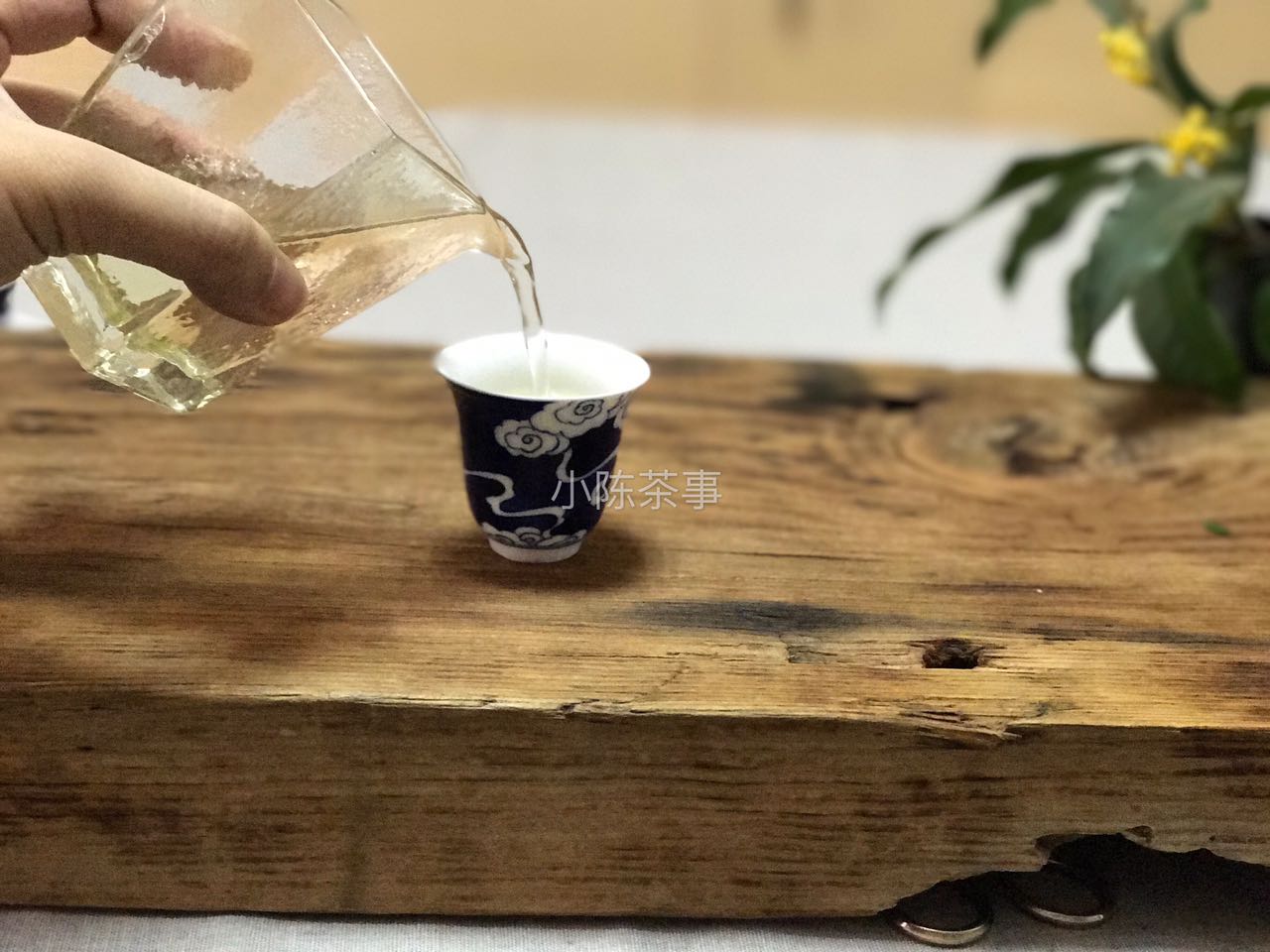 白茶饼受潮什么颜色,白茶饼有发霉味