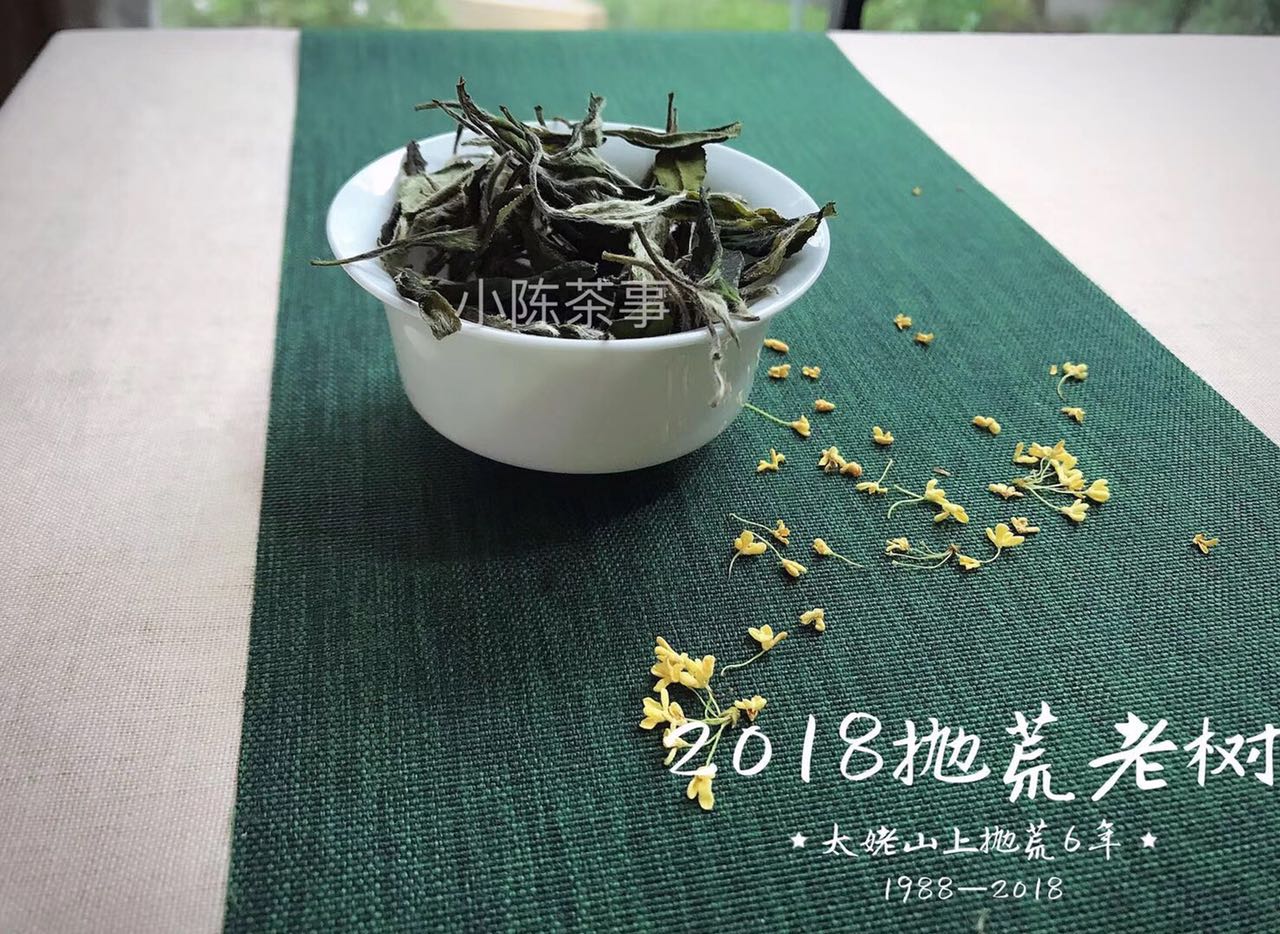 白茶饼受潮什么颜色,白茶饼有发霉味