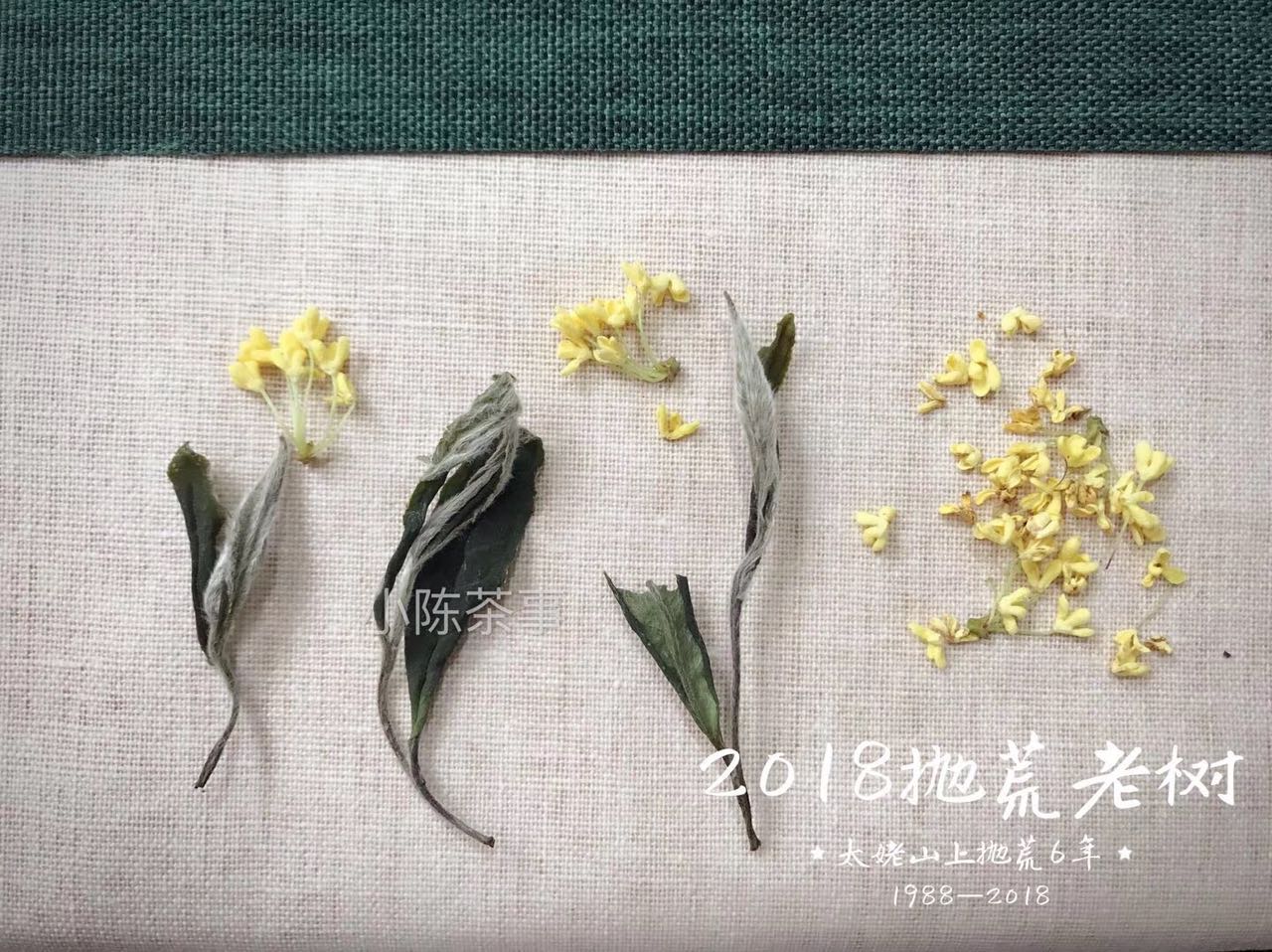 白茶饼受潮什么颜色,白茶饼有发霉味