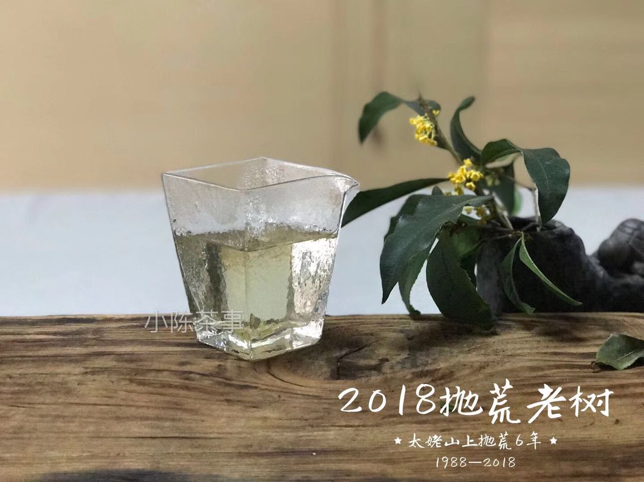 白茶饼受潮什么颜色,白茶饼有发霉味