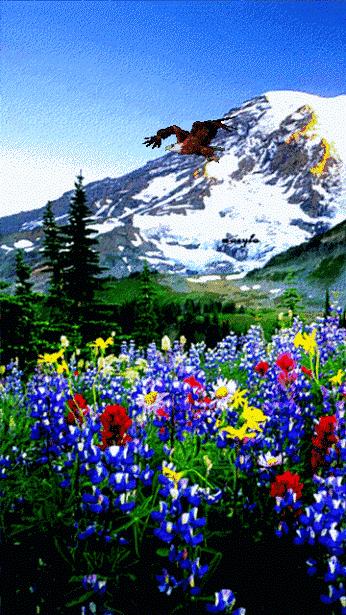 太有才了,居然把“钱”字说得如此透彻,发给您乐一乐