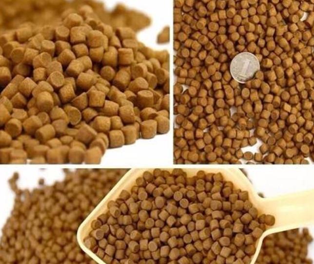 狗粮选购误区,狗粮选不对也会咳嗽吗