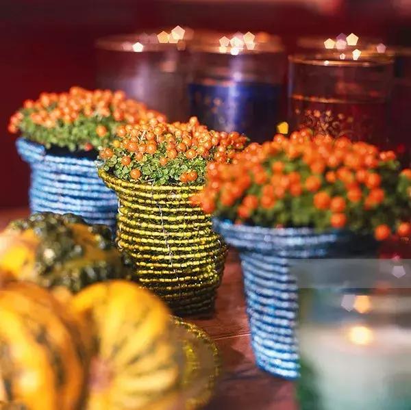 适合冬季观赏的植物,临近冬日常见的花卉植物