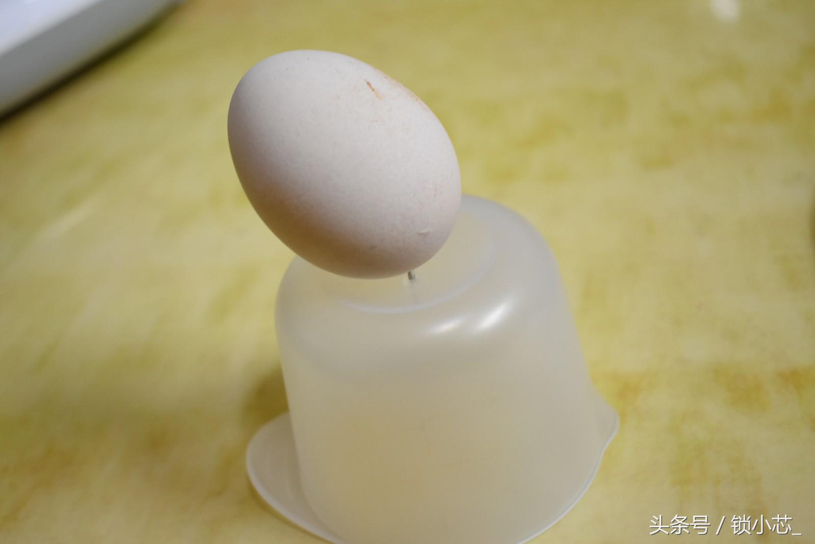 煮蒸煎多功能一体电锅,一个人煮煎蒸炒烤一体锅