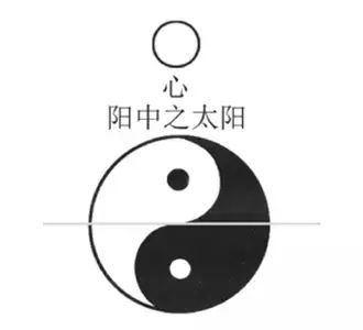 六味地黄丸补肾倪海厦,六味地黄丸过度补肾会怎么样