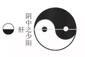 六味地黄丸补肾倪海厦,六味地黄丸过度补肾会怎么样