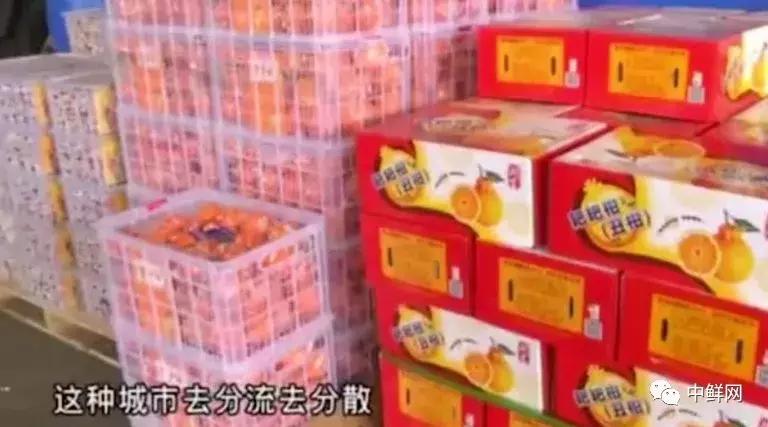 足球运动员退役后的生意,中国足球运动员退役后有哪些收入