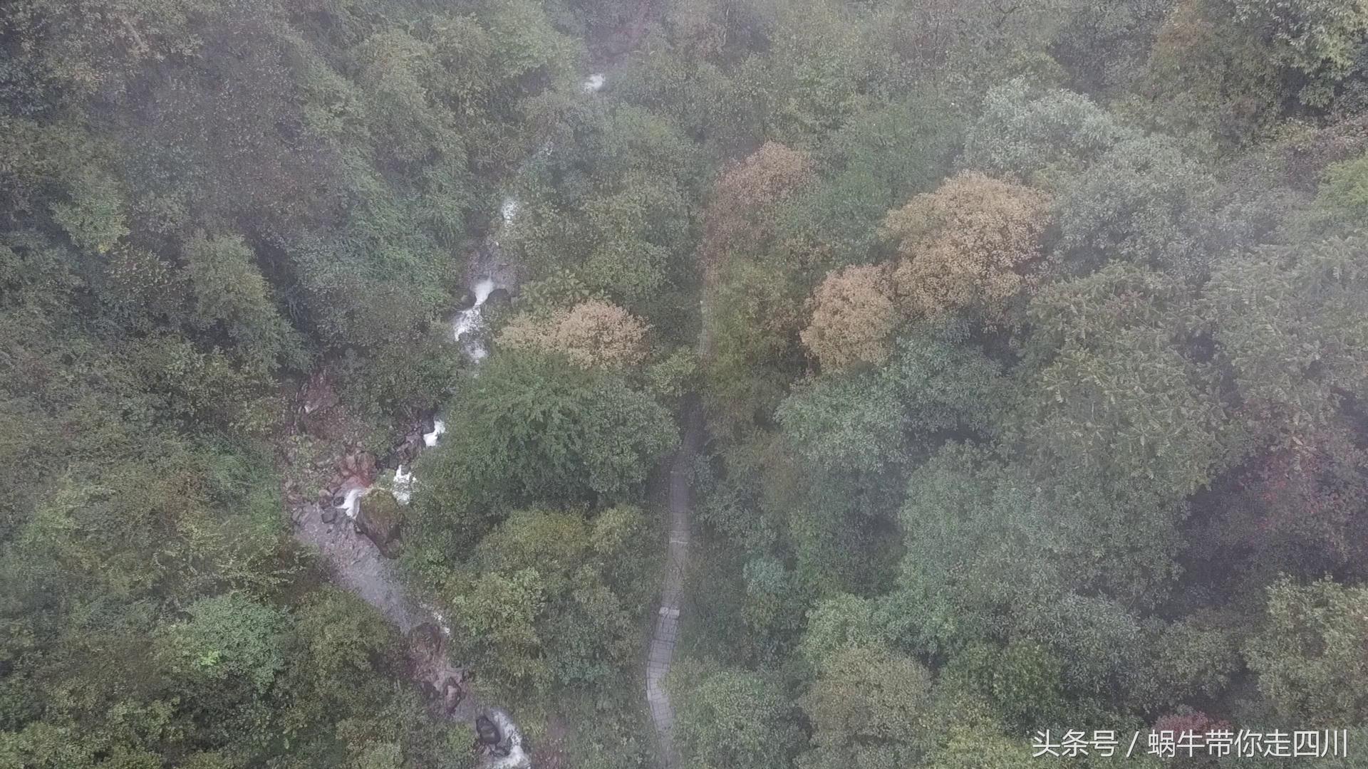 成都西岭雪山玩一天大概多少钱,成都西岭雪山旅游一日游报团