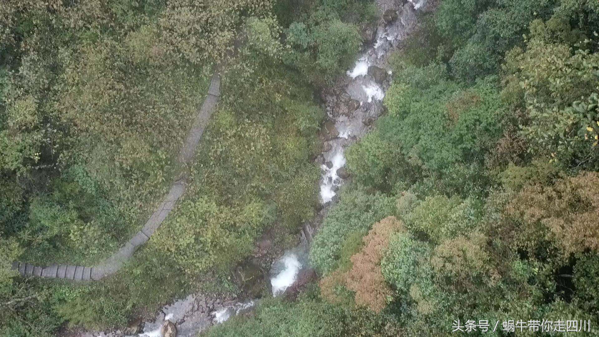 成都西岭雪山玩一天大概多少钱,成都西岭雪山旅游一日游报团