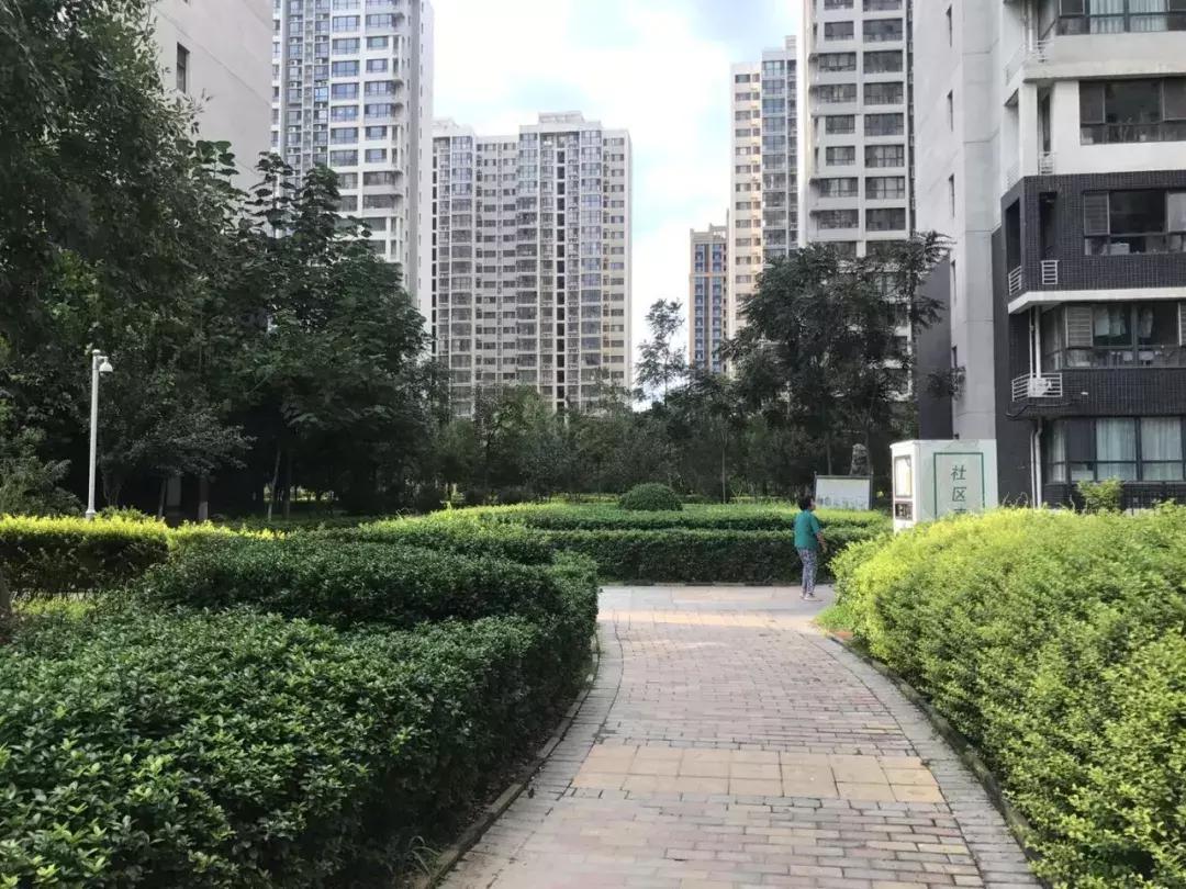 石家庄长安区房价最新价格表,石家庄二环内房价多少钱一平