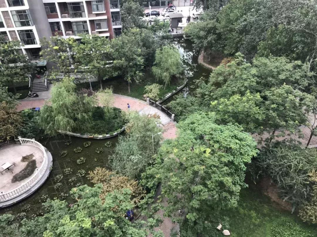 石家庄长安区房价最新价格表,石家庄二环内房价多少钱一平