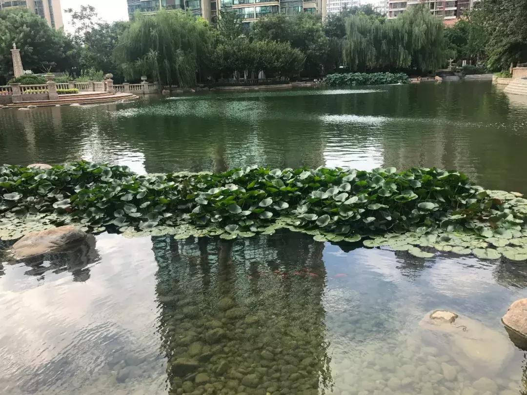 石家庄长安区房价最新价格表,石家庄二环内房价多少钱一平