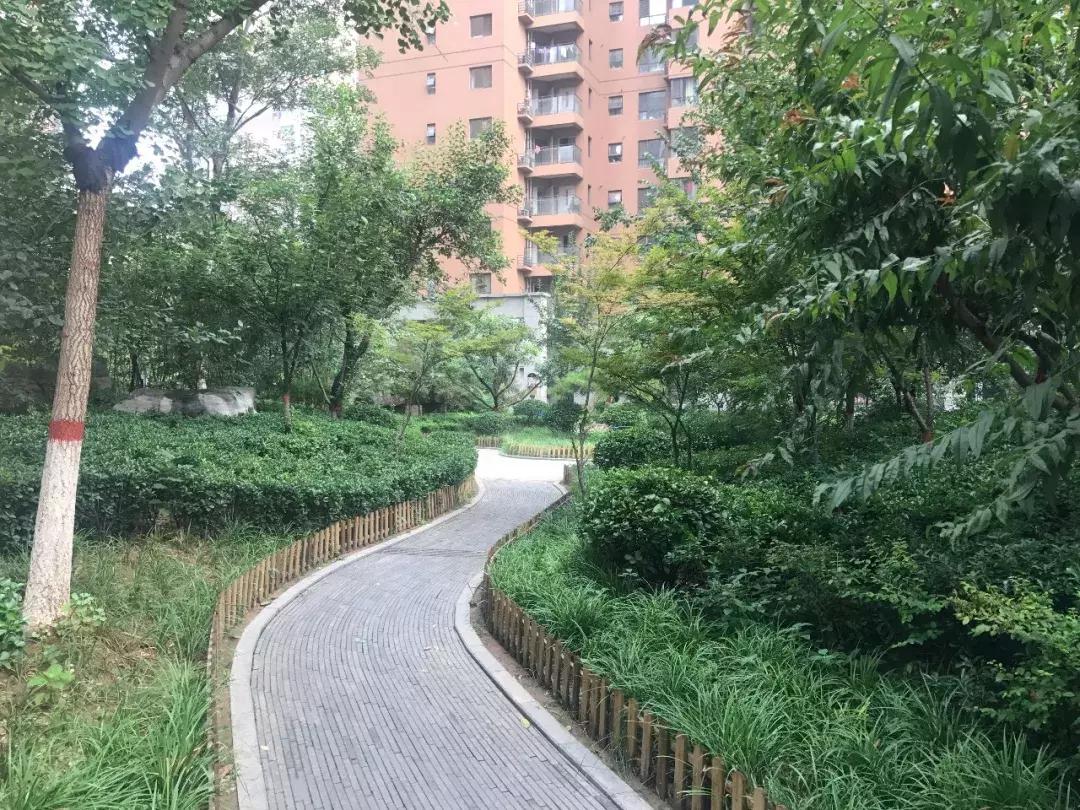 石家庄最好的小区房价,石家庄房价最贵10大成熟小区