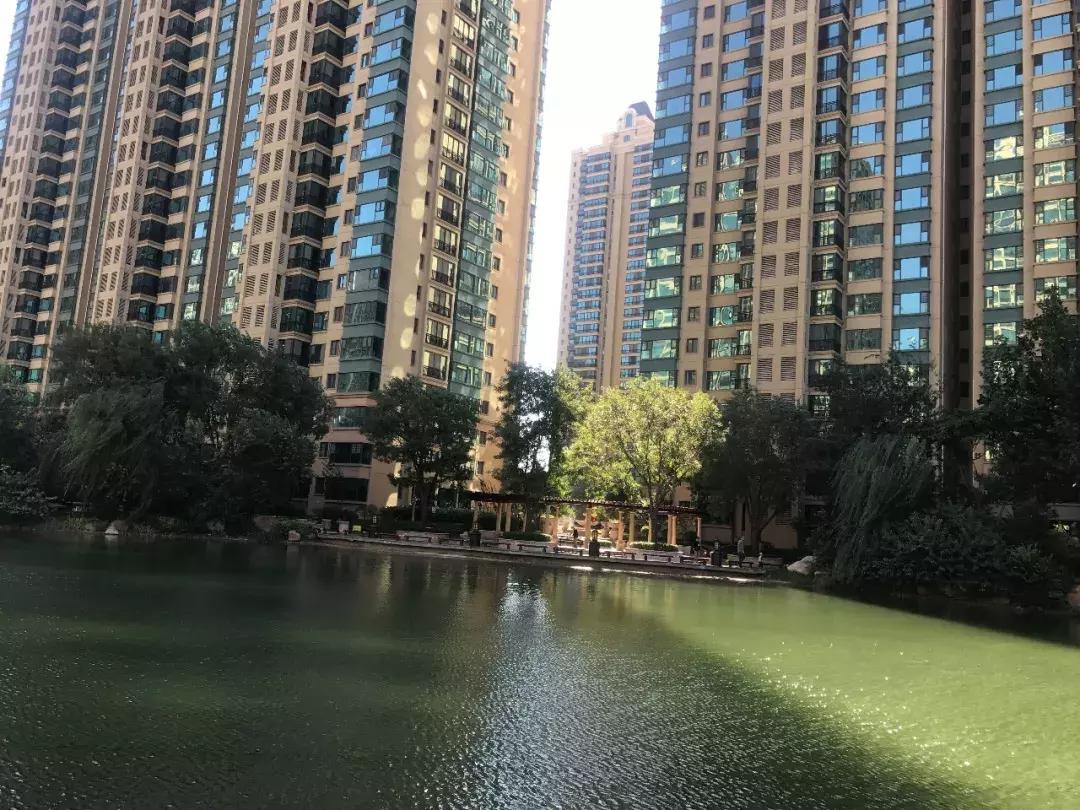 石家庄最好的小区房价,石家庄房价最贵10大成熟小区