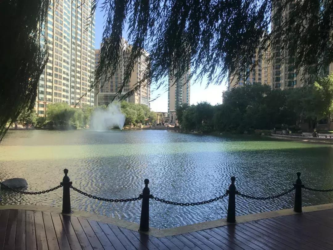 石家庄最好的小区房价,石家庄房价最贵10大成熟小区