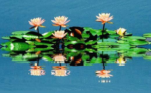 晚上睡不着的时候看看这10句话,送给晚上睡不着觉人的十句话