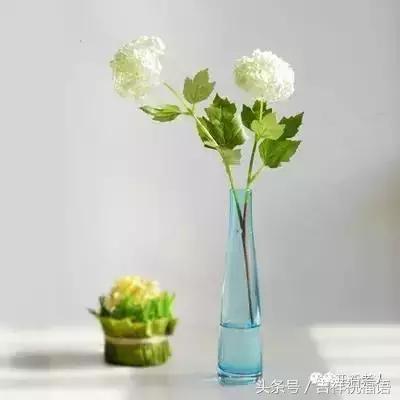 早上好一首带音乐的歌,早上好一首好听的歌分享给朋友们