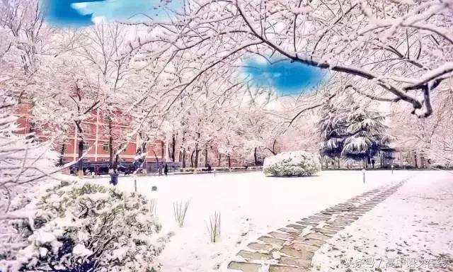 高中英语定语从句习题讲解,高中英语定语从句讲解从基础开始